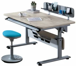 PAIDI Schreibtisch braun^Kinder Schreibtische & Drehstühle