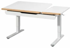 Schreibtische & Drehstühle>PAIDI Schreibtisch weiß