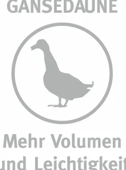 Paradies Drei-Kammerkissen 440g weiß^ Kopfkissen