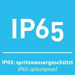 Paul Neuhaus LED-Akku-Wandleuchte schwarz^ Wandleuchten