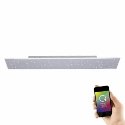 Paul Neuhaus LED-Deckenleuchte 1flg silberfarben^ Deckenleuchten