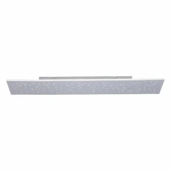 Paul Neuhaus LED-Deckenleuchte 1flg silberfarben^ Deckenleuchten
