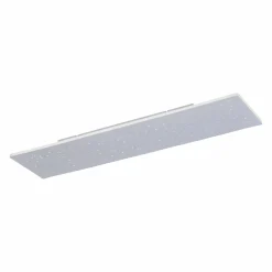 Paul Neuhaus LED-Deckenleuchte 1flg silberfarben^ Deckenleuchten