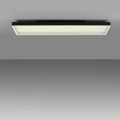 Paul Neuhaus LED-Deckenleuchte 1flg schwarz^ Deckenleuchten