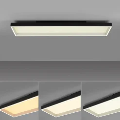 Paul Neuhaus LED-Deckenleuchte 1flg schwarz^ Deckenleuchten
