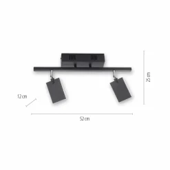 Paul Neuhaus LED-Deckenleuchte 2flg schwarz^ Deckenleuchten