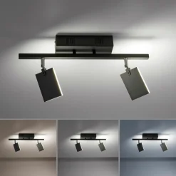 Paul Neuhaus LED-Deckenleuchte 2flg schwarz^ Deckenleuchten