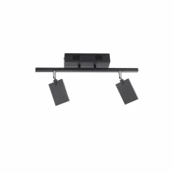 Paul Neuhaus LED-Deckenleuchte 2flg schwarz^ Deckenleuchten