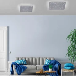 Paul Neuhaus LED-Deckenleuchte 1flg silberfarben^ Deckenleuchten