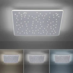 Paul Neuhaus LED-Deckenleuchte 1flg silberfarben^ Deckenleuchten