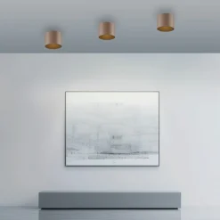 Deckenleuchten>Paul Neuhaus LED-Deckenleuchte 1flg braun