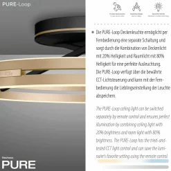 Deckenleuchten>Paul Neuhaus LED-Deckenleuchte 2flg schwarzgoldfarben