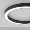 Deckenleuchten>Paul Neuhaus LED-Deckenleuchte 1flg schwarz