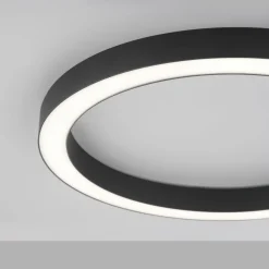 Deckenleuchten>Paul Neuhaus LED-Deckenleuchte 1flg schwarz