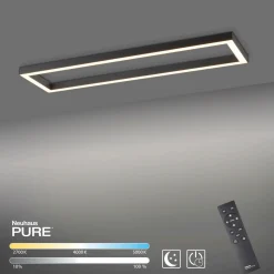 Paul Neuhaus LED-Deckenleuchte 1flg schwarz^ Deckenleuchten