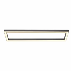 Paul Neuhaus LED-Deckenleuchte 1flg schwarz^ Deckenleuchten