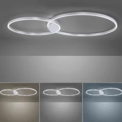 Paul Neuhaus LED-Deckenleuchte 2flg silberfarben^ Deckenleuchten