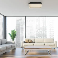 Paul Neuhaus LED-Deckenleuchte 1flg schwarz^ Deckenleuchten