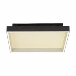 Paul Neuhaus LED-Deckenleuchte 1flg schwarz^ Deckenleuchten