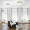 Paul Neuhaus LED-Deckenleuchte 1flg goldfarben^ Deckenleuchten