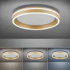 Paul Neuhaus LED-Deckenleuchte 1flg goldfarben^ Deckenleuchten