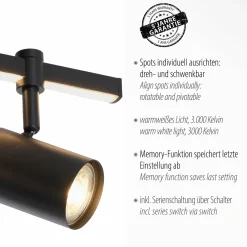 Paul Neuhaus LED-Deckenleuchte 2flg schwarz^ Deckenleuchten|Wandleuchten