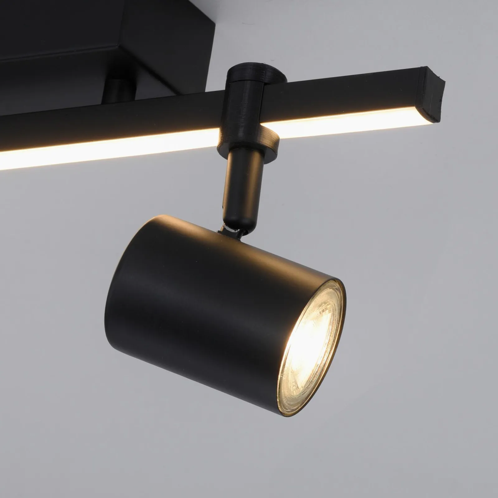 Paul Neuhaus LED-Deckenleuchte 2flg schwarz^ Deckenleuchten|Wandleuchten