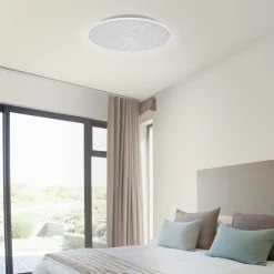 Paul Neuhaus LED-Deckenleuchte 1flg silberfarben^ Deckenleuchten