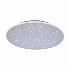 Paul Neuhaus LED-Deckenleuchte 1flg silberfarben^ Deckenleuchten
