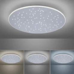 Paul Neuhaus LED-Deckenleuchte 1flg silberfarben^ Deckenleuchten