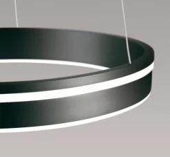 Paul Neuhaus LED-Deckenleuchte 1flg schwarz^ Deckenleuchten|Pendelleuchten