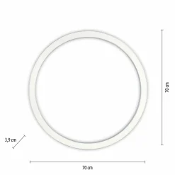Paul Neuhaus LED-Deckenleuchte 1flg silberfarben^ Deckenleuchten