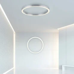 Paul Neuhaus LED-Deckenleuchte 1flg silberfarben^ Deckenleuchten