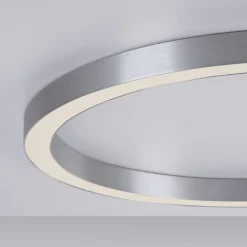 Paul Neuhaus LED-Deckenleuchte 1flg silberfarben^ Deckenleuchten