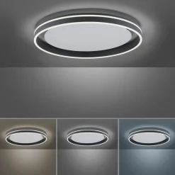 Paul Neuhaus LED-Deckenleuchte 1flg schwarz^ Deckenleuchten|Pendelleuchten