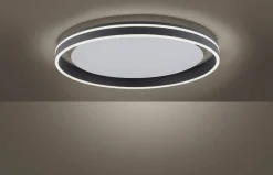 Paul Neuhaus LED-Deckenleuchte 1flg schwarz^ Deckenleuchten|Pendelleuchten