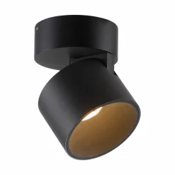 Paul Neuhaus LED-Deckenleuchte 1flg schwarz^ Deckenleuchten