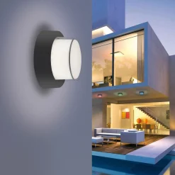 Paul Neuhaus LED-Deckenleuchte 1flg schwarz^ Deckenleuchten