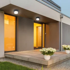 Paul Neuhaus LED-Deckenleuchte 1flg schwarz^ Deckenleuchten