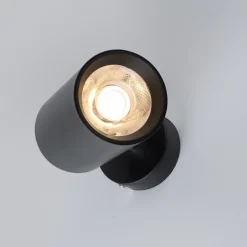 Paul Neuhaus LED-Deckenleuchte 1flg schwarz^ Deckenleuchten|Wandleuchten