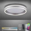 Paul Neuhaus LED-Deckenleuchte 1flg silberfarben^ Deckenleuchten