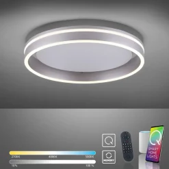 Paul Neuhaus LED-Deckenleuchte 1flg silberfarben^ Deckenleuchten