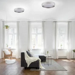 Paul Neuhaus LED-Deckenleuchte 1flg silberfarben^ Deckenleuchten