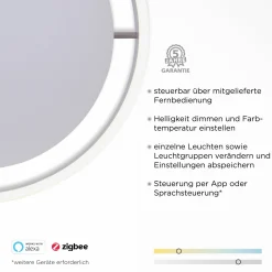 Paul Neuhaus LED-Deckenleuchte 1flg silberfarben^ Deckenleuchten