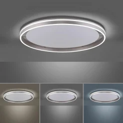 Deckenleuchten>Paul Neuhaus LED-Deckenleuchte 1flg silberfarben