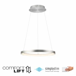 Paul Neuhaus LED-Pendelleuchte 1flg silberfarben^ Pendelleuchten