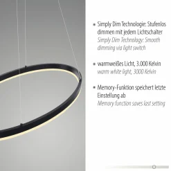 Pendelleuchten>Paul Neuhaus LED-Pendelleuchte 1flg schwarz
