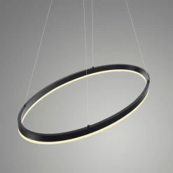 Pendelleuchten>Paul Neuhaus LED-Pendelleuchte 1flg schwarz