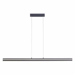 Paul Neuhaus LED-Pendelleuchte 1flg schwarz^ Pendelleuchten
