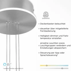 Paul Neuhaus LED-Pendelleuchte 2flg silberfarben^ Pendelleuchten